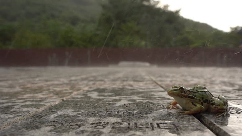 Kadr z The Memory of Water